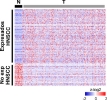 lncRNAs específicos de cáncer de cabeza y cuello