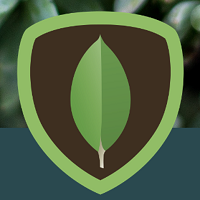 MongoDB logo